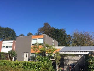 IMG_1481