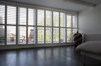 3606779_2_org